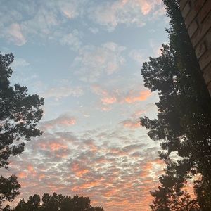 Meet your Posher, Ella